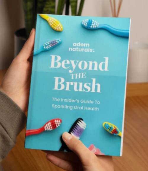 Provadent Bonus 1 - Beyond The Brush